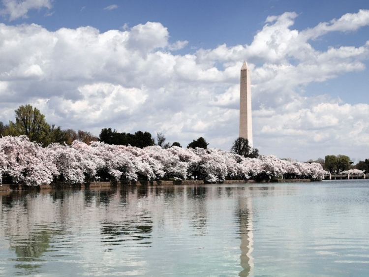 Picture of WASHINGTON MONUMENT, WASHINGTON, D.C. - VINTAGE STYLE PHOTO TINT VARIANT