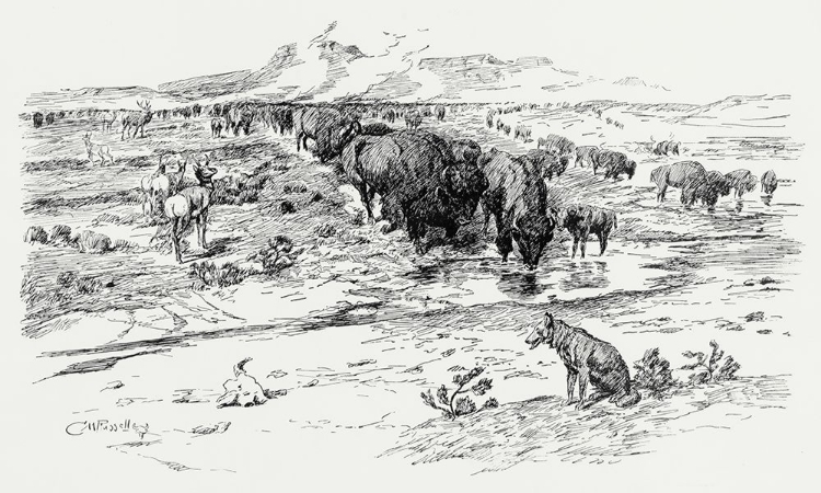 Picture of NATURES CATTLE, 1899