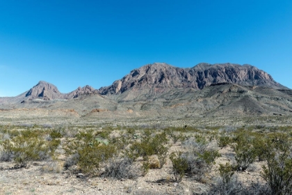 Picture of SCENERY IN BIG BEND NATIONAL PARK, TX