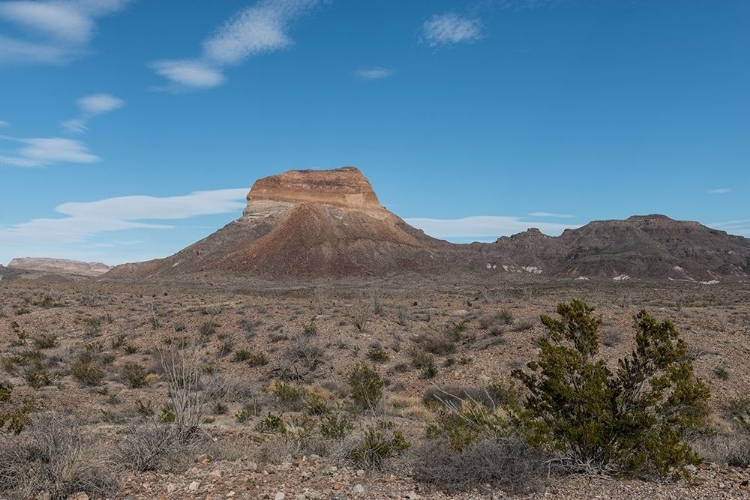 Picture of SCENERY IN BIG BEND NATIONAL PARK, TX