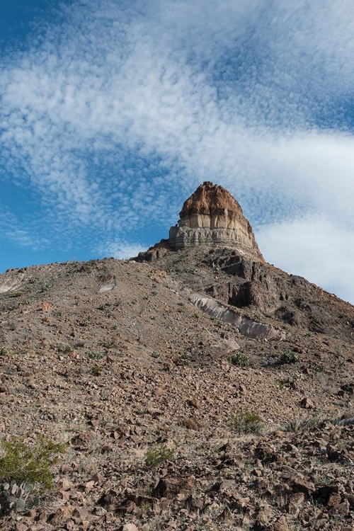 Picture of SCENERY IN BIG BEND NATIONAL PARK, TX