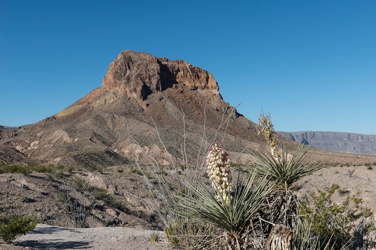 Picture of SCENE FROM BIG BEND NATIONAL PARK IN BREWSTER COUNTY, TX