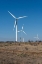 Picture of WIND TURBINES IN SHACKELFORD COUNTY, TX, NORTHEAST OF ABILENE