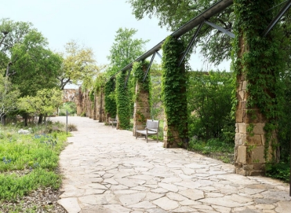 Picture of PAVED WALKWAY AT THE LADY BIRD JOHNSON WILDFLOWER CENTER, NEAR AUSTIN, TX