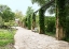 Picture of PAVED WALKWAY AT THE LADY BIRD JOHNSON WILDFLOWER CENTER, NEAR AUSTIN, TX