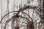 Picture of OLD WAGON WHEELS AGAINST A SHED IN BUFFALO GAP HISTORIC VILLAGE, NEAR ABILENE, TX