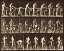 Picture of MOTION STUDY: WOODWORK