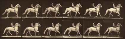 Picture of MOTION STUDY: MAN RIDING A HORSE