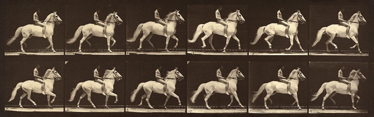 Picture of MOTION STUDY: MAN RIDING A HORSE