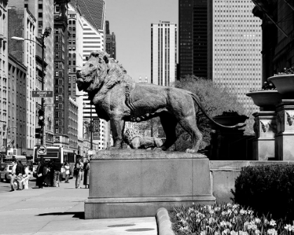 Picture of EDWARD KEMEYS GUARDIAN LIONS STAND BEFORE THE ART INSTITUTE OF CHICAGO ILLINOIS