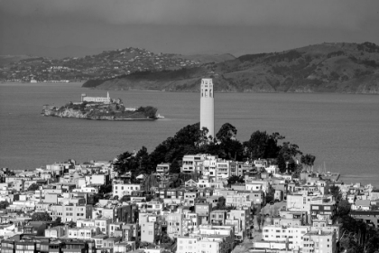 Picture of COIT TOWER AND ALCATRAZ SAN FRANCISCO CALIFORNIA