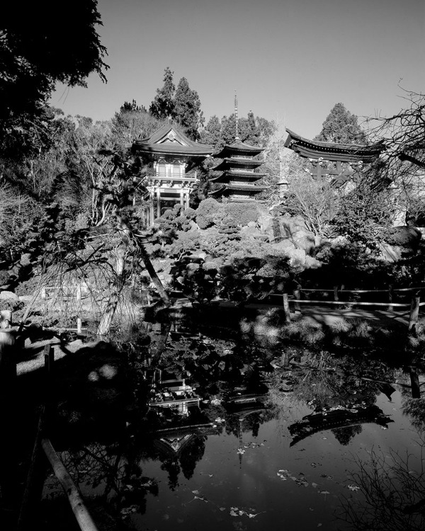 Picture of JAPANESE TEA GARDEN AT GOLDEN GATE PARK SAN FRANCISCO CALIFORNIA