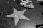 Picture of MICHAEL JACKSONS STAR ON THE HOLLYWOOD WALK OF FAME LOS ANGELES CALIFORNIA
