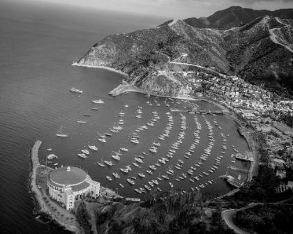 Picture of SANTA CATALINA ISLAND CALIFORNIA