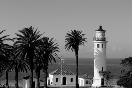 Picture of LIGHTHOUSE POINT VICENTE CALIFORNIA