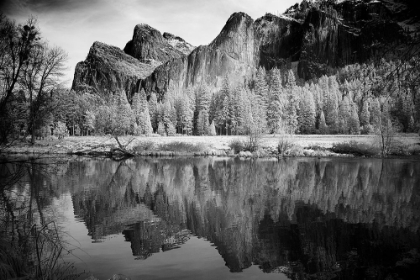 Picture of VIEW OF YOSEMITE CALIFORNIA