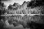 Picture of VIEW OF YOSEMITE CALIFORNIA
