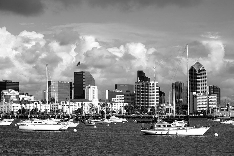 Picture of CITYSCAPE SAN DIEGO CALIFORNIA