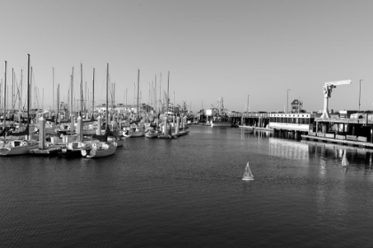 Picture of OLD FISHERMANS WHARF MONTEREY CALIFORNIA