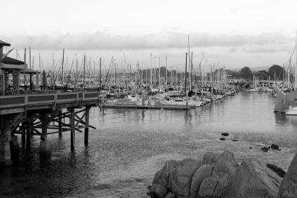 Picture of OLD FISHERMANS WHARF MONTEREY CALIFORNIA