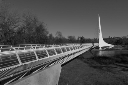 Picture of THE SUNDIAL BRIDGE AT TURTLE BAY REDDING CALIFORNIA