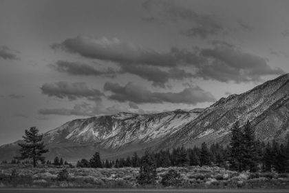 Picture of MAMMOTH LAKES CALIFORNIA