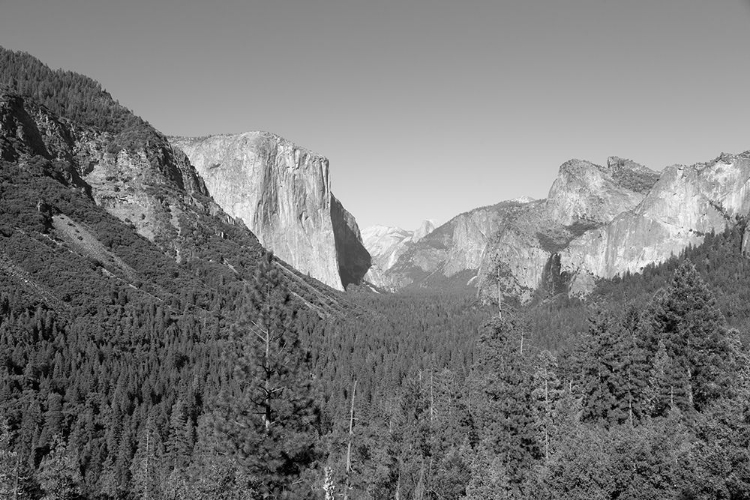 Picture of YOSEMITE NATIONAL PARK CALIFORNIA