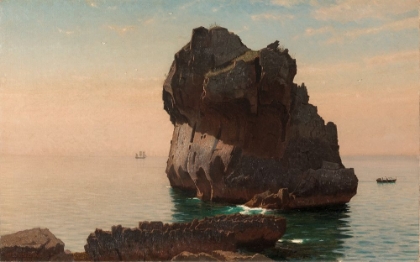 Picture of CAPRI