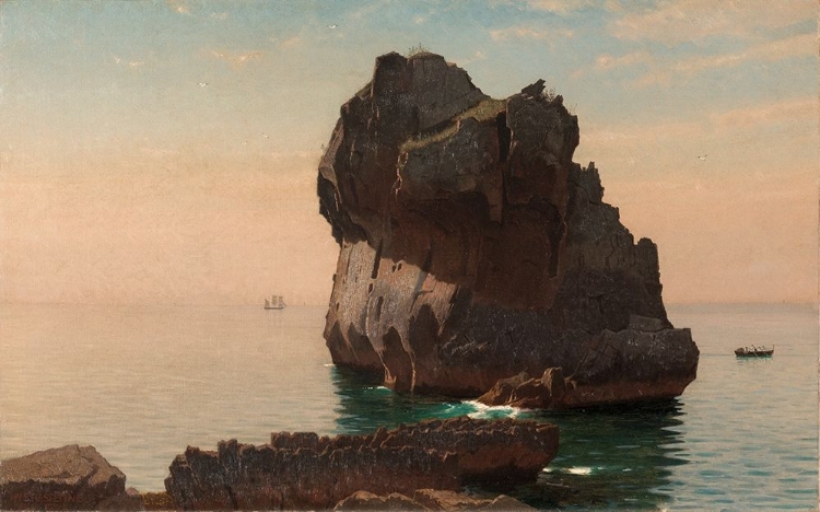 Picture of CAPRI