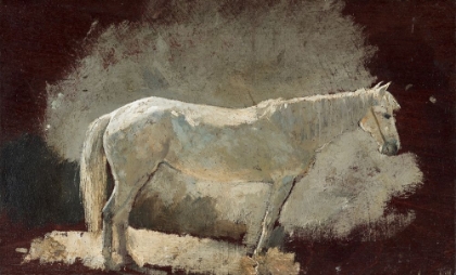 Picture of WHITE MARE