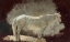 Picture of WHITE MARE