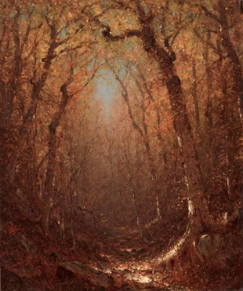 Picture of AUTUMN A WOOD PATH