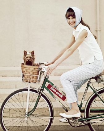 Picture of AUDREY HEPBURN