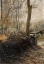 Picture of WOODS SCENE