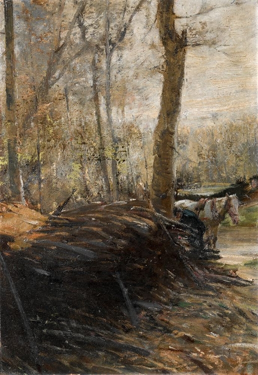 Picture of WOODS SCENE