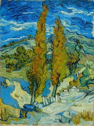 Picture of TWO POPLARS IN THE ALPILLES NEAR SAINT-REMY