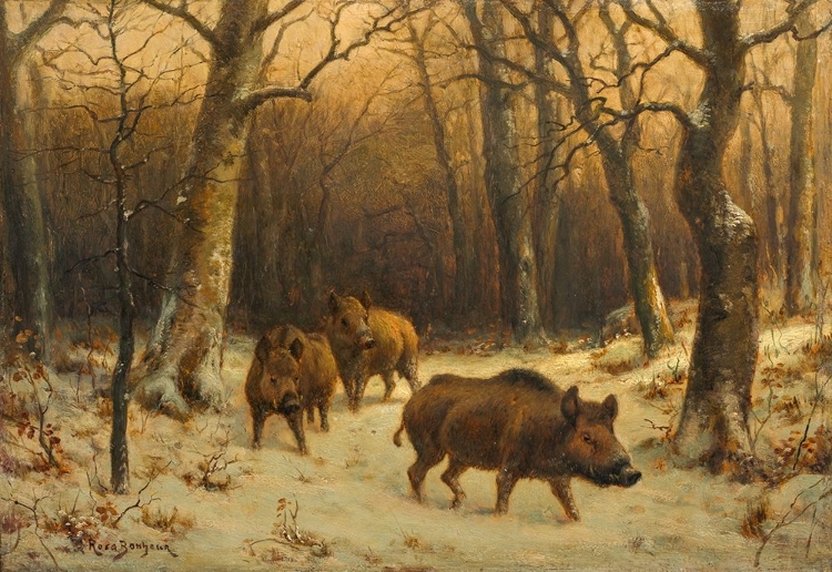 Picture of WILD BOARS IN THE SNOW