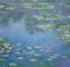 Picture of WATER LILIES 1906
