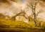 Picture of LONG ISLAND FARMHOUSES 1862