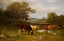 Picture of FROM SHIFTING SHADE 1887