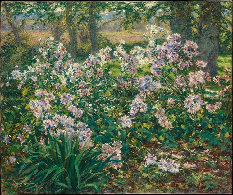 Picture of WINDFLOWERS