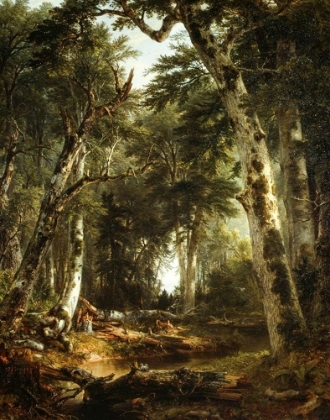 Picture of IN THE WOODS
