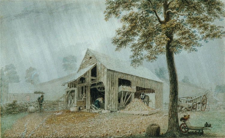 Picture of RAINSTORM—CIDER MILL AT REDDING, CONNECTICUT
