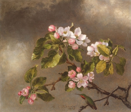 Picture of HUMMINGBIRD AND APPLE BLOSSOMS
