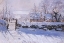 Picture of THE MAGPIE