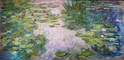Picture of WATERLILLIES