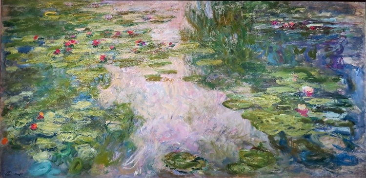 Picture of WATERLILLIES