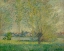 Picture of THE WILLOWS