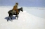 Picture of THE SCOUT, FRIENDS OR FOES