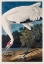 Picture of HOOPING CRANE